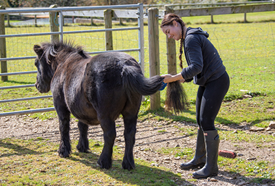 Bracken with Martha