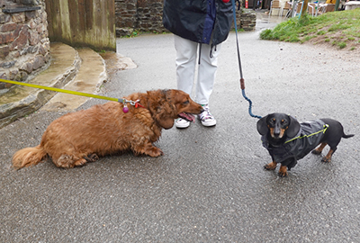 When Tara met Woody!