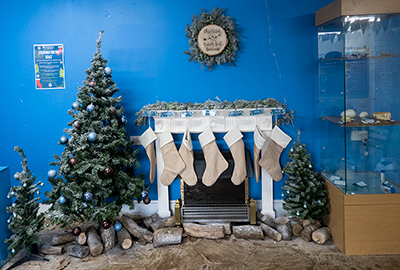 Christmas Time