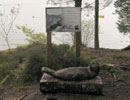Terry Nutkins Nature Trail