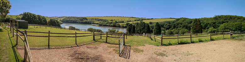 View from the Paddock to the Estuary