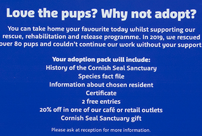Adopt a Seal Pup
