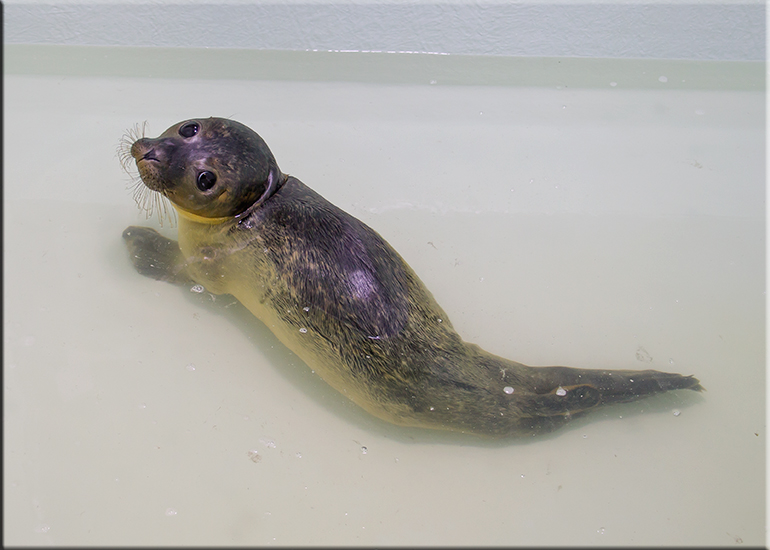 Alex - photo taken on 3rd September 2016