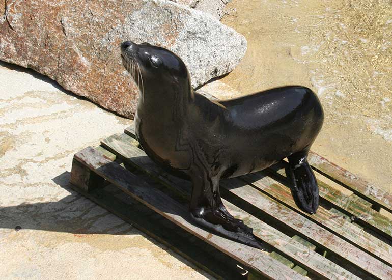 Andr&eacute;