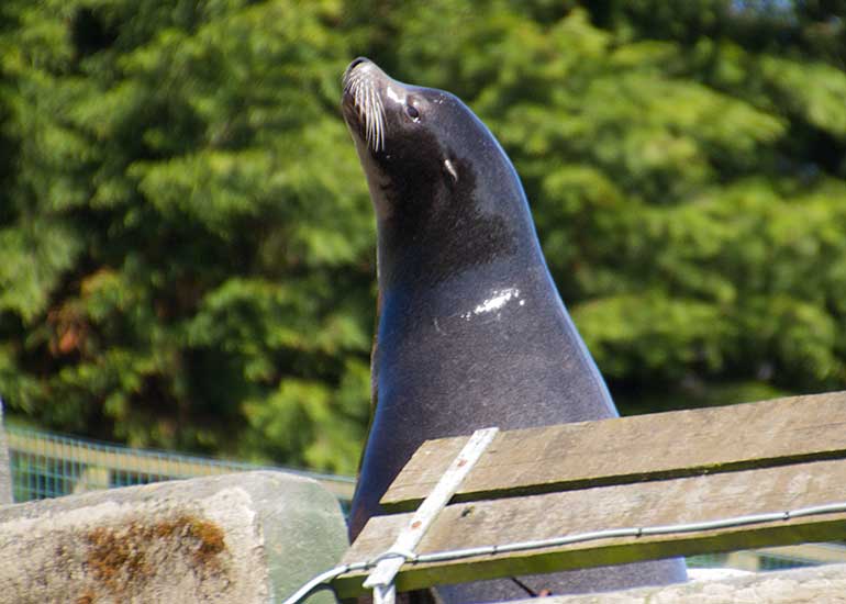 Andr&eacute;