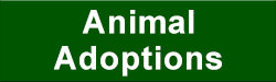 Animal Adoptions