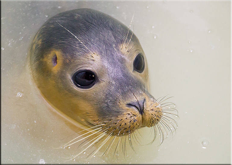 Aqua - photo taken on 3rd September 2016