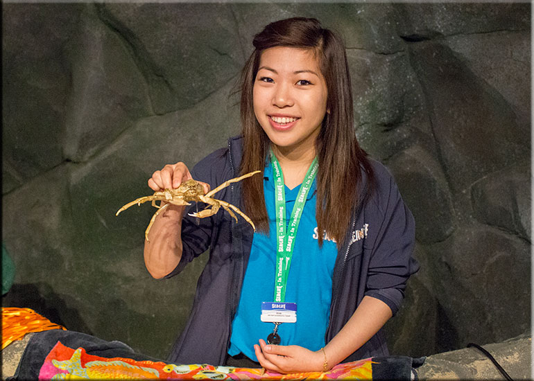 Zoe, a member of the Entertainments Team, showing us how to hold a crab, she is very brave