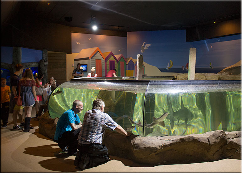 Hunstanton Sea Life Sanctuary