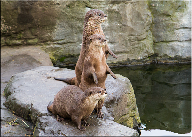 Aquarium photos