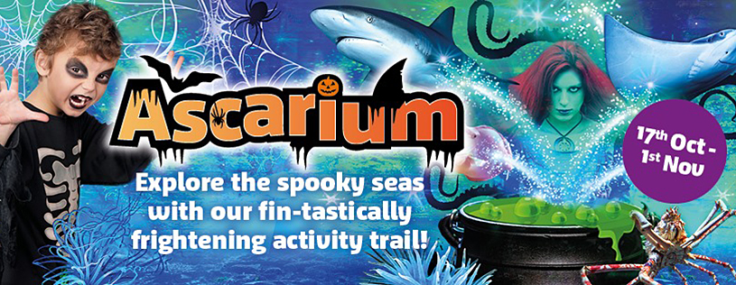 Ascarium - 17th October - 1st November 2020