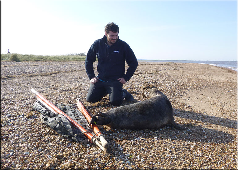 Athena being released back into the wild on 21st April 2015