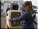 Hunstanton SEA LIFE Sanctuary - 23rd September 2014