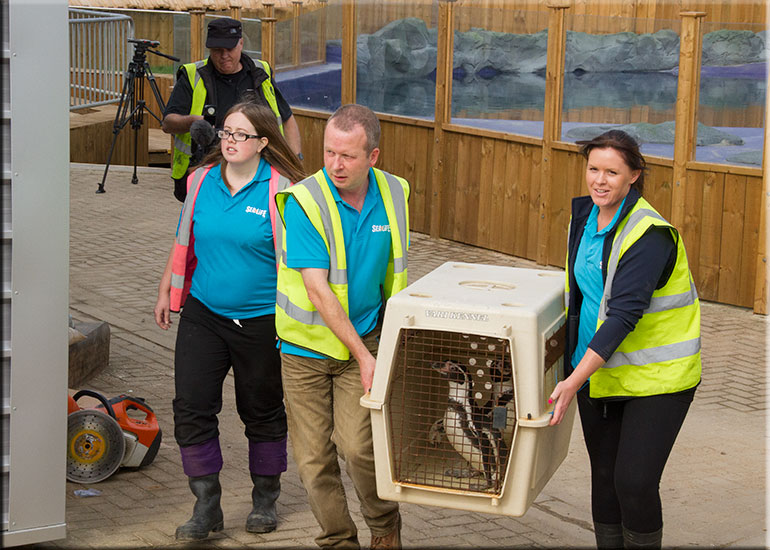 Hunstanton SEA LIFE Sanctuary