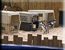 Hunstanton SEA LIFE Sanctuary - 23rd September 2014