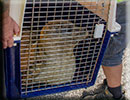 Hunstanton SEA LIFE Sanctuary - 23rd September 2014
