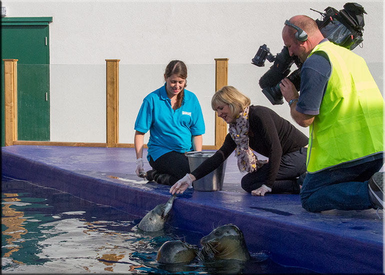 Hunstanton SEA LIFE Sanctuary