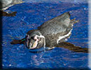 Hunstanton SEA LIFE Sanctuary - 23rd September 2014