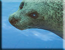 Hunstanton SEA LIFE Sanctuary - 23rd September 2014