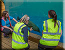 Hunstanton SEA LIFE Sanctuary - 23rd September 2014