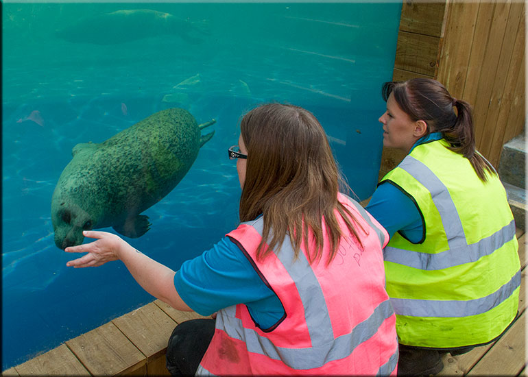 Hunstanton SEA LIFE Sanctuary