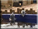 Hunstanton SEA LIFE Sanctuary - 23rd September 2014