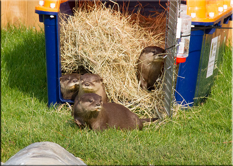 Hunstanton SEA LIFE Sanctuary