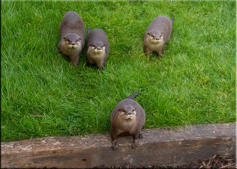 Hunstanton SEA LIFE Sanctuary