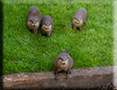 Hunstanton SEA LIFE Sanctuary - 23rd September 2014