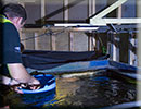 Hunstanton SEA LIFE Sanctuary - 23rd September 2014