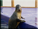 Hunstanton SEA LIFE Sanctuary - 23rd September 2014