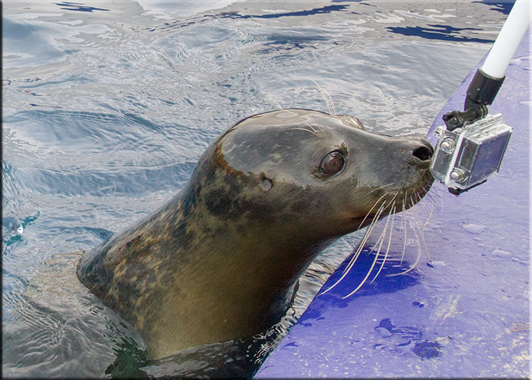 Hunstanton SEA LIFE Sanctuary