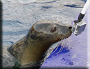 Hunstanton SEA LIFE Sanctuary - 23rd September 2014