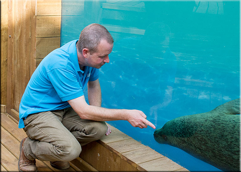 Hunstanton SEA LIFE Sanctuary