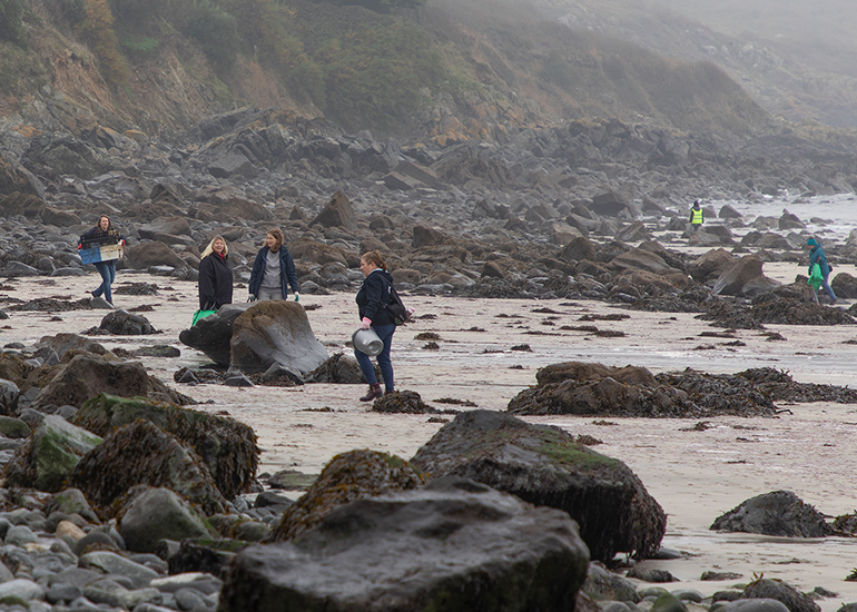 5th November 2024 - Beach clean - Coverack