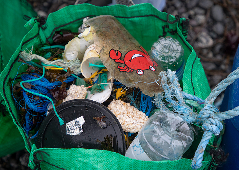 5th November 2024 - Beach clean - Coverack