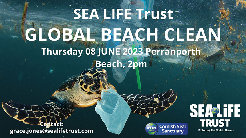 beach clean day