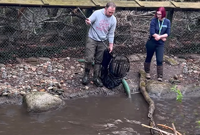 Beaver Nursery