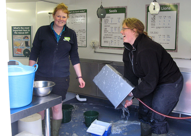 CORNISH SEAL SANCTUARY New for 2013 Behind the Scenes Seal Hospital