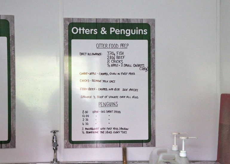 New for 2013 - Behind the Scenes Seal Hospital Tour