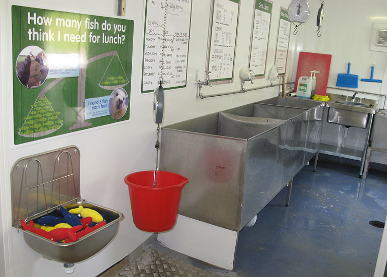 New for 2013 - Behind the Scenes Seal Hospital Tour