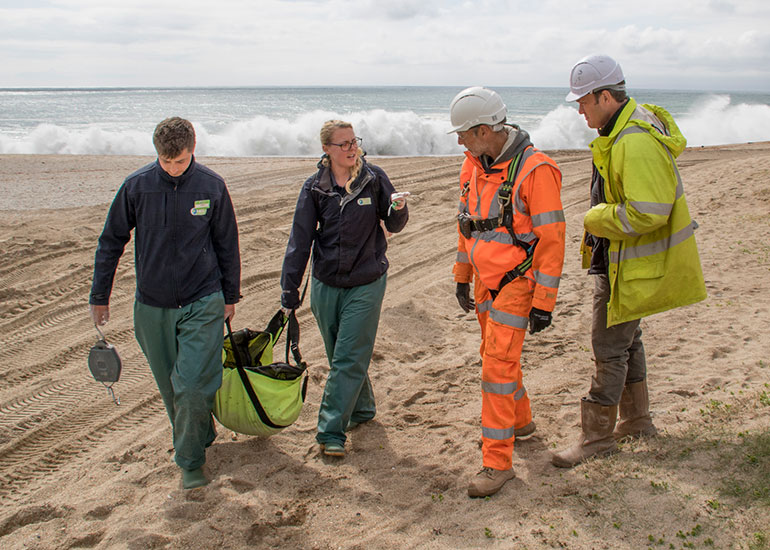 Bella