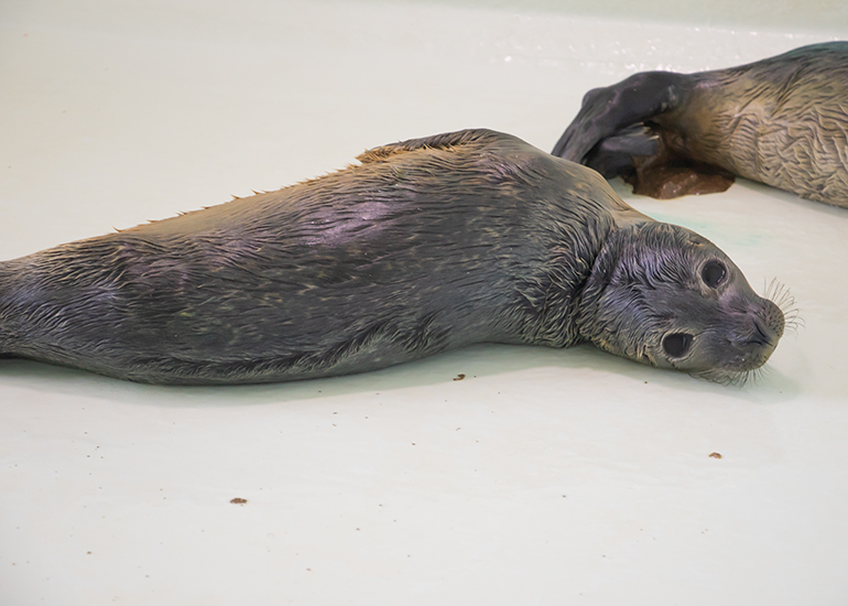 Beyonce - photo taken on 14th July 2019