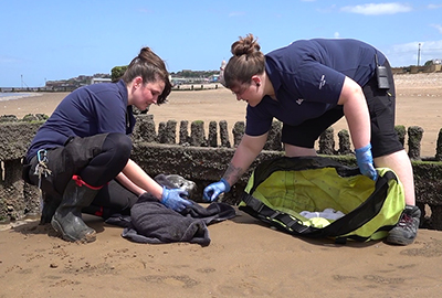 Blue Cheese - VIDEO Screengrab for photo