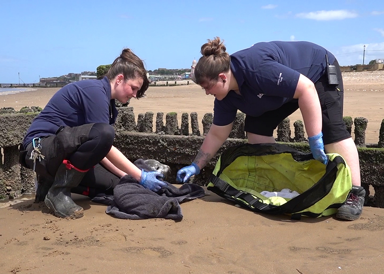 Blue Cheese - photo taken on 10th June 2022 - screengrab of video