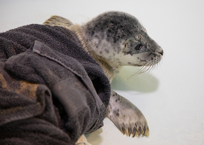 Blue Cheese - photo taken on 10th June 2022