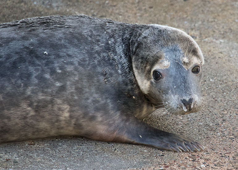 Boggle - photo taken on 29th December 2015