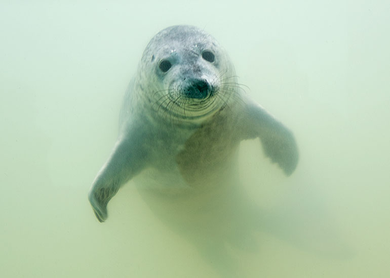 Boggle - photo taken on 24th October 2015