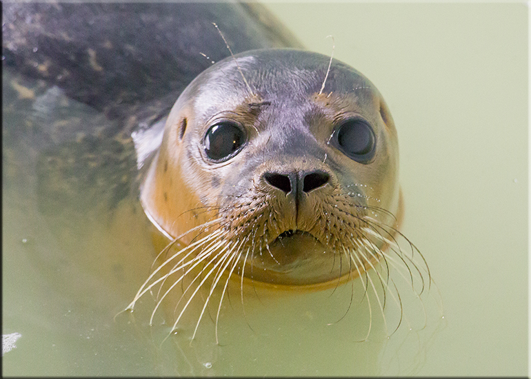 Bonnie - photo taken on 3rd September 2016
