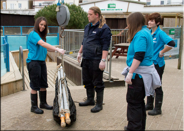 Boris - 10th June 2013